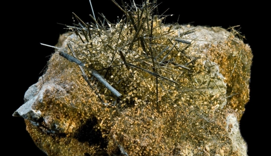 By Didier Descouens - Own work, CC BY-SA 4.0, https://commons.wikimedia.org/w/index.php?curid=8264256