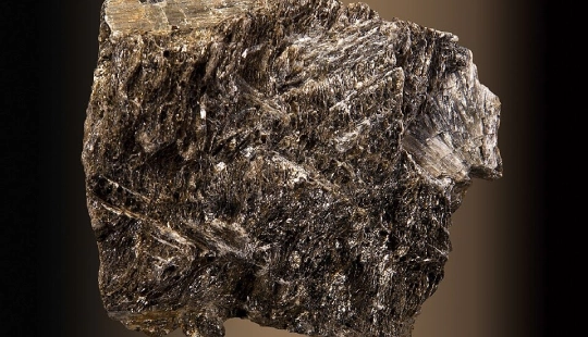 By Didier Descouens - Own work, CC BY-SA 3.0, https://commons.wikimedia.org/w/index.php?curid=10669969