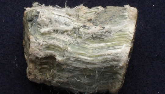 Eurico Zimbres, CC BY-SA 2.5 , via Wikimedia Commons