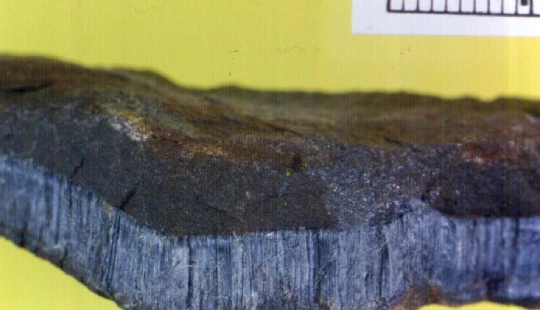 By John Hayman - Own work, Public Domain, https://commons.wikimedia.org/w/index.php?curid=2315670