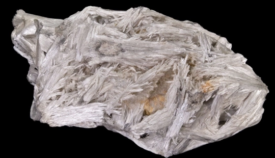 By Didier Descouens - Own work, CC BY-SA 4.0, https://commons.wikimedia.org/w/index.php?curid=8792013